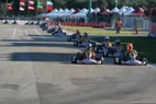 La Conca Rotax Max Junior grid 