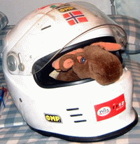 Sandy's helmet and mascot in 2004